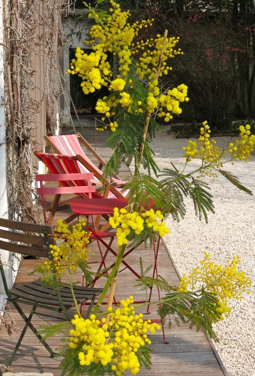 L'annexe - Maison D'hôtes Maison d'hôtes 3*
